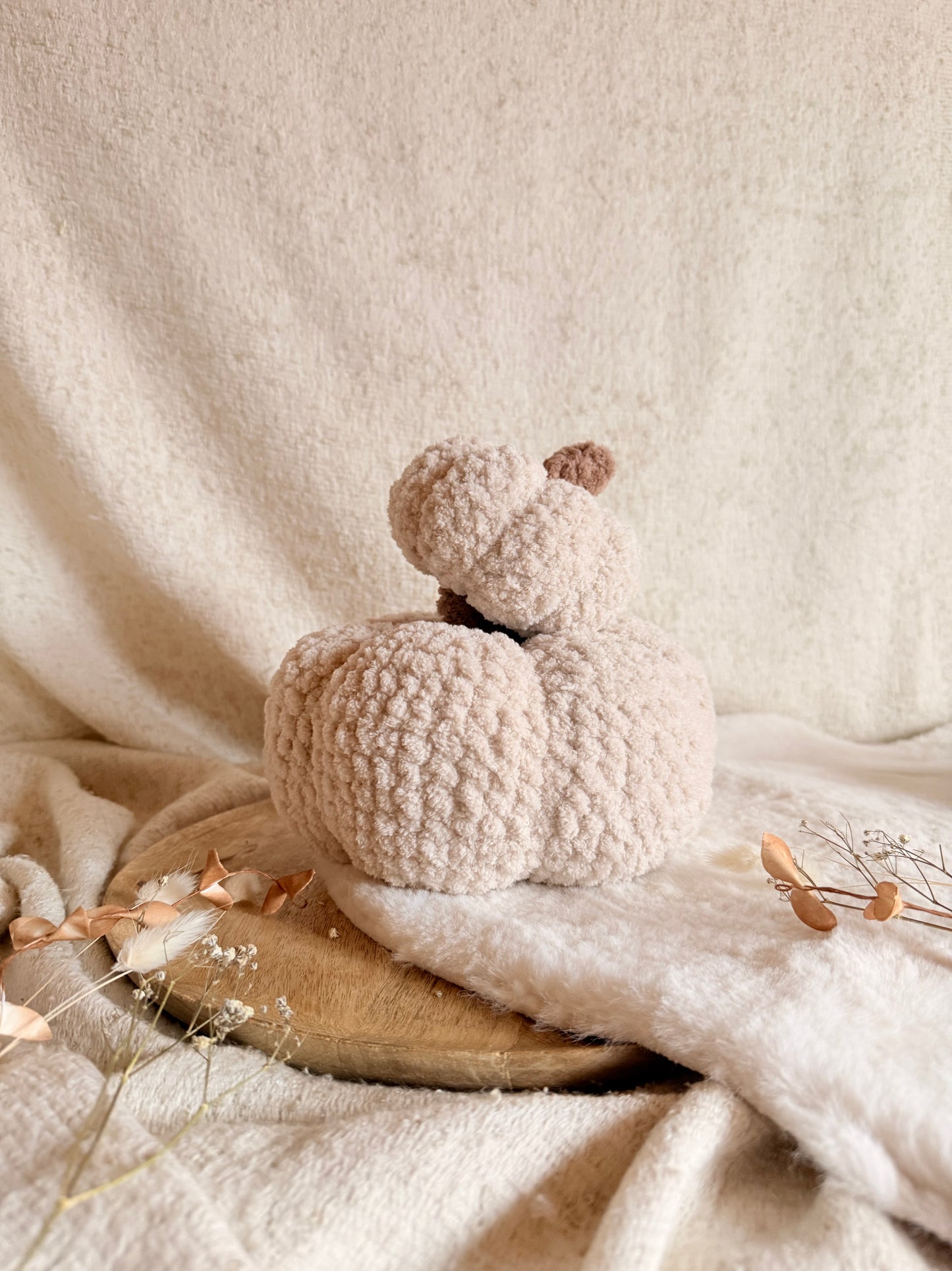 Kürbis „Cozy“