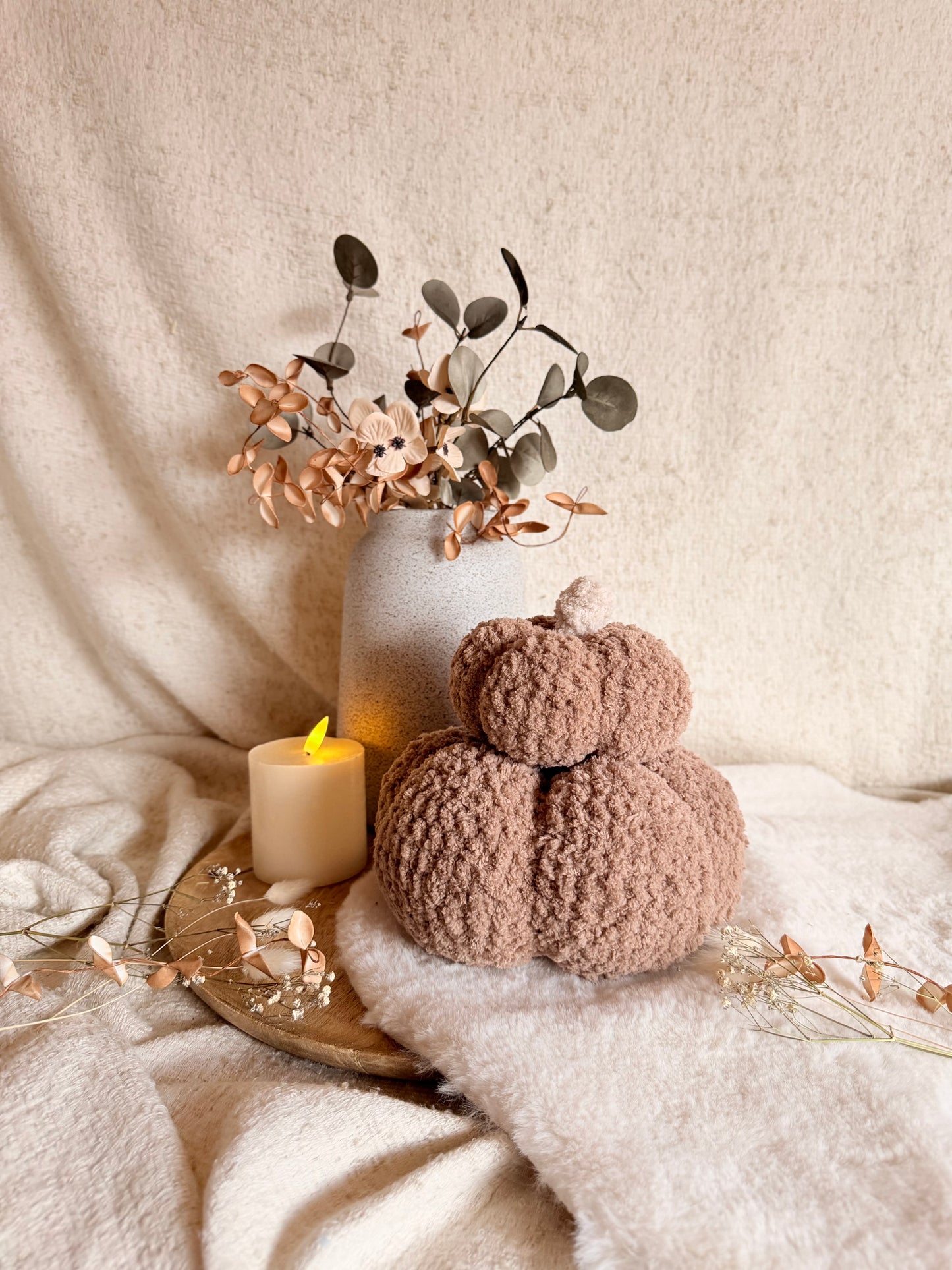Kürbis „Cozy“