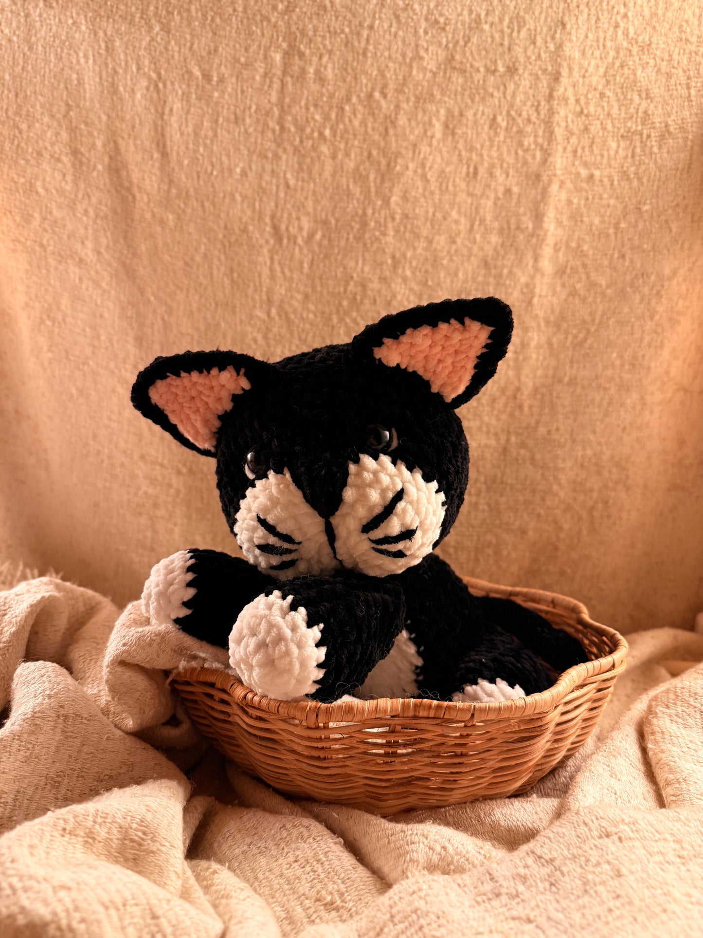 Kätzchen „Elli“