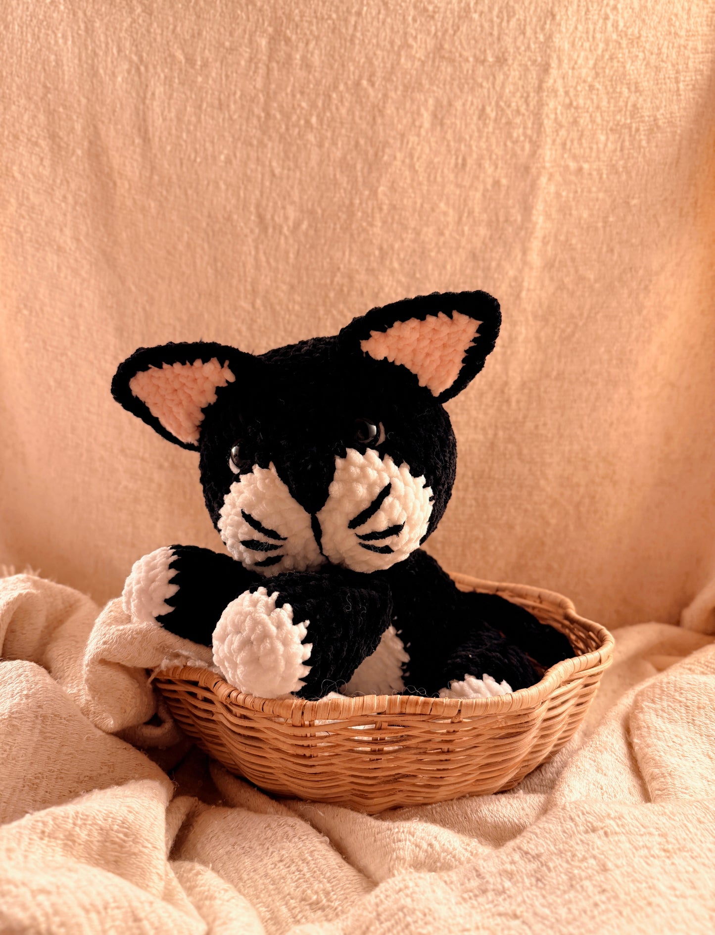 Kätzchen „Elli“