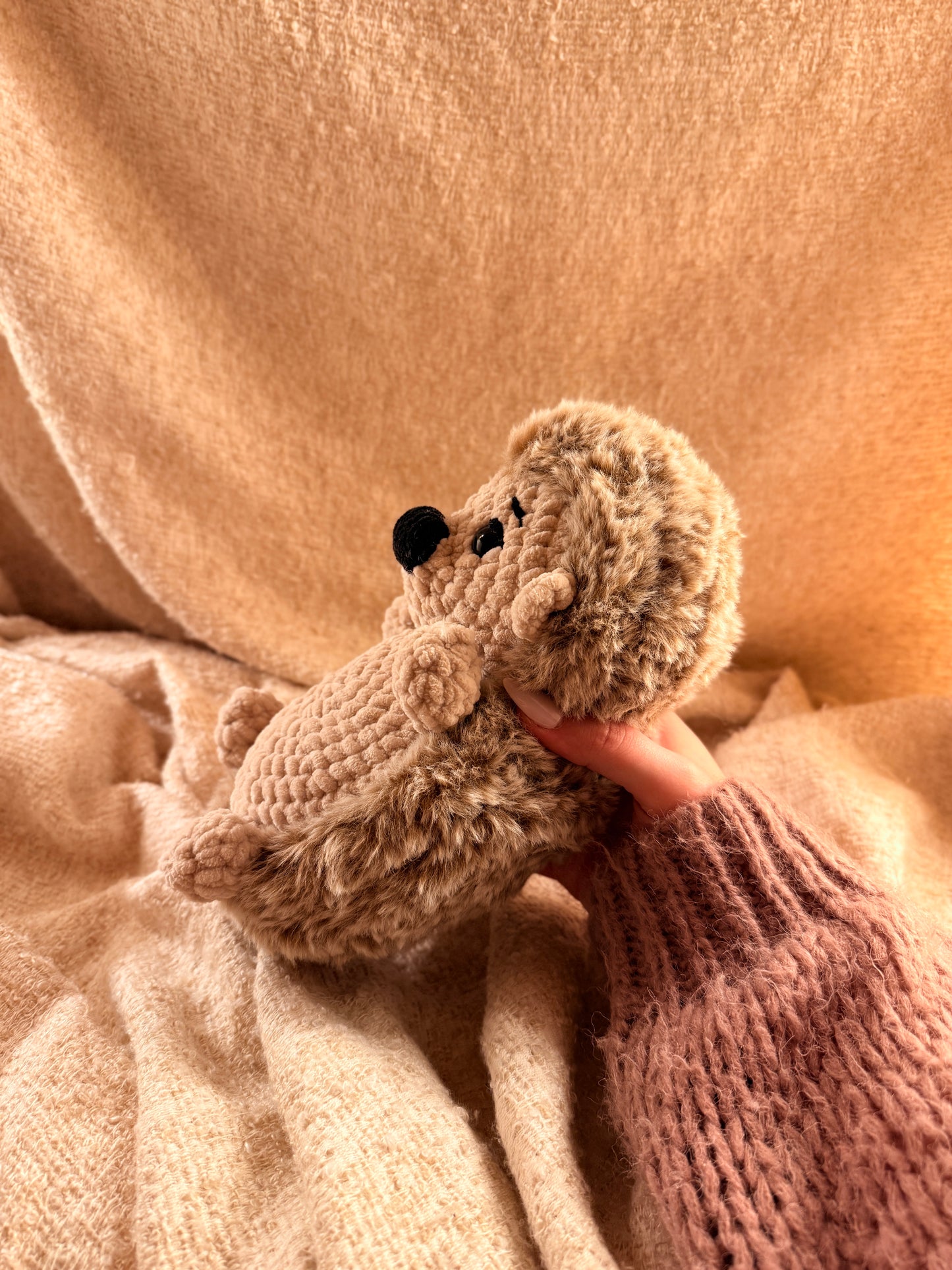 Igel „Kilua“
