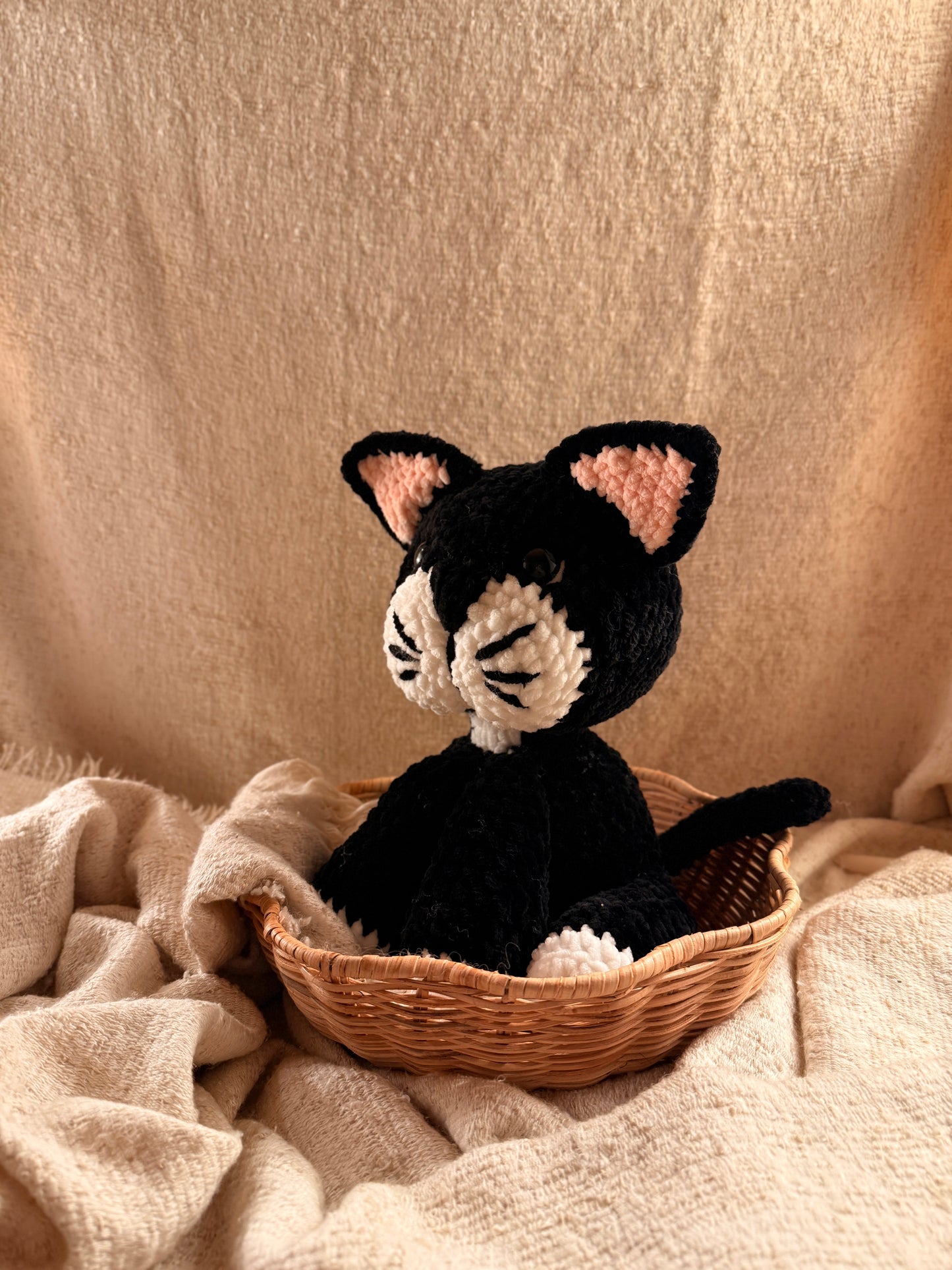 Kätzchen „Elli“