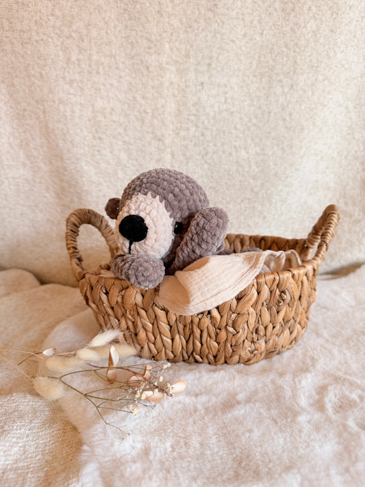 Otter „Harry“