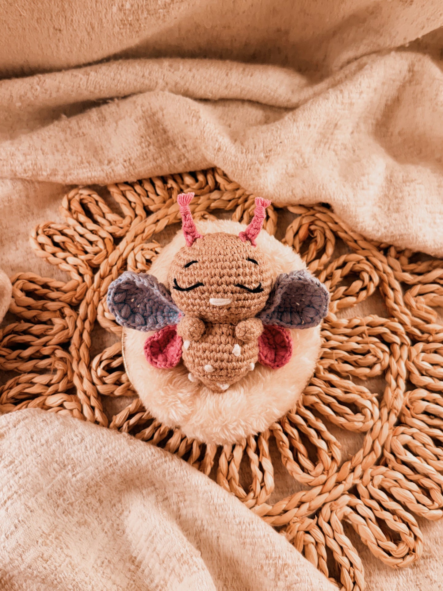 Schmetterling „Jorana“